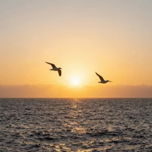 Paquete Dúo Parejas al Atardecer